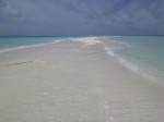 the sandbar