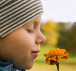 Stop and smell the flowers